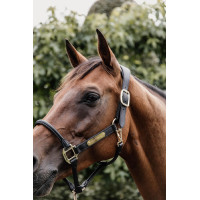 Kopstuk voor Anatomisch Halster van leer Kentucky Bruin Kopstuk voor Anatomisch Halster van leer Kentucky Bruin