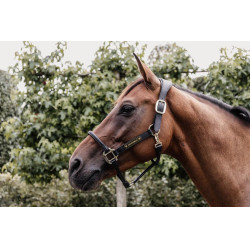 Têtière pour Licol Anatomique en cuir Kentucky Noir Têtière pour Licol Anatomique en cuir Kentucky Noir