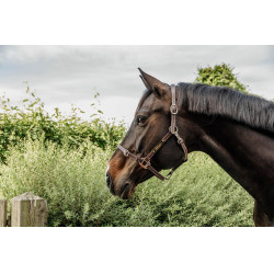 Têtière pour Licol Flexible Kentucky Marron