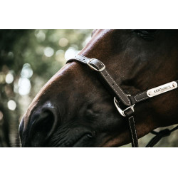 Têtière pour Licol Flexible Kentucky Marron