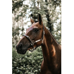 Têtière pour Licol Flexible Kentucky Marron