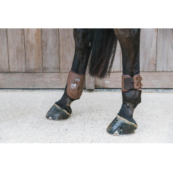 Elastische kogelbeschermer Kentucky Bruin