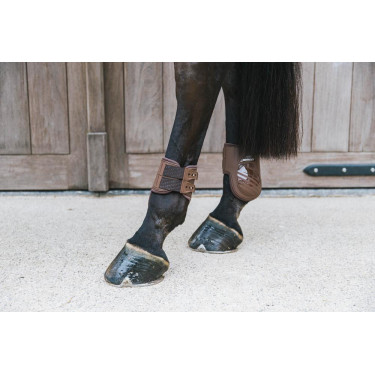 Elastische kogelbeschermer Kentucky Bruin