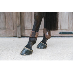 Protège-boulet élastique Kentucky Marron