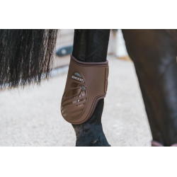 Elastische kogelbeschermer Kentucky Bruin