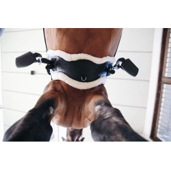 Mouton amovible pour Sangle Anatomique courte Kentucky Naturel