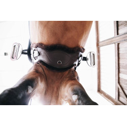 Mouton amovible pour Sangle Anatomique courte Kentucky Marron