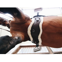 Afneembare schapenvacht voor korte anatomische singel Kentucky Afneembare schapenvacht voor korte anatomische singel Kentucky