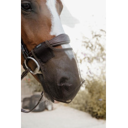 Filet de nez Kentucky Marron