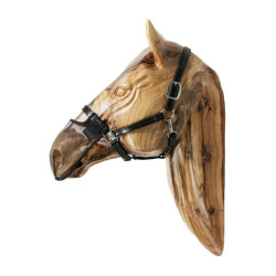 Filet de nez Kentucky Marron