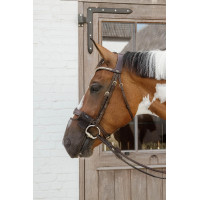 Kentucky neusriem Zwart