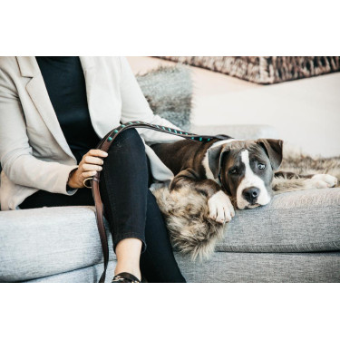 Laisse pour chien en Perles faites-main Kentucky Noir