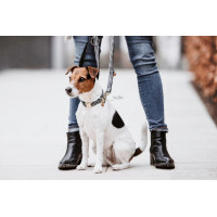 Hondenslaapzak Pied-de-poule Kentucky Zwart Hondenslaapzak Pied-de-poule Kentucky Zwart