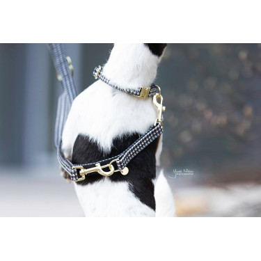 Laisse pour chien Pie-de-poule Kentucky Laisse pour chien Pie-de-poule Kentucky