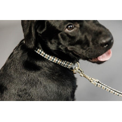 Laisse pour chien Pie-de-poule Kentucky Brun Marron