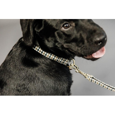 Laisse pour chien Pie-de-poule Kentucky Brun Marron