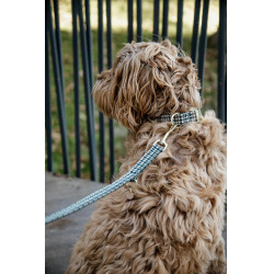 Laisse pour chien Pie-de-poule Kentucky Brun Marron