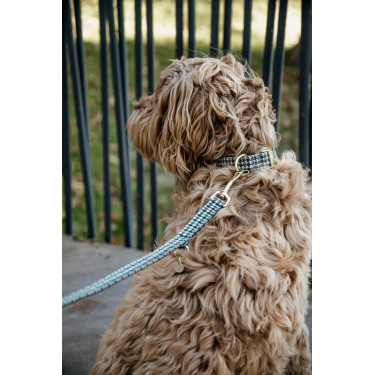 Laisse pour chien Pie-de-poule Kentucky Brun Marron