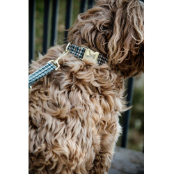 Laisse pour chien Pie-de-poule Kentucky Brun Marron