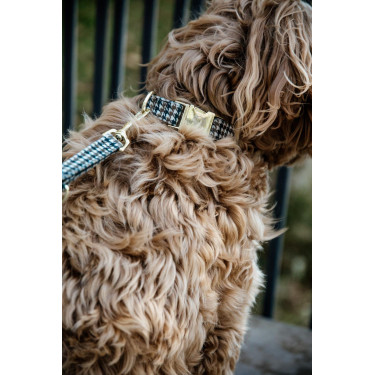 Laisse pour chien Pie-de-poule Kentucky Brun Marron