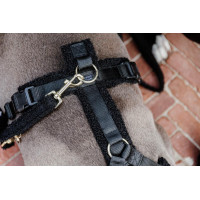 Hondenriem Teddy Fleece 200 cm Kentucky Zwart Hondenriem Teddy Fleece 200 cm Kentucky Zwart