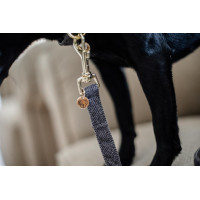 Wool Long Laisse voor hond Kentucky Grijs Wool Long Laisse voor hond Kentucky Grijs