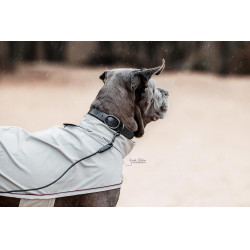 Laisse Soft Rubber Kentucky Noir Laisse Soft Rubber Kentucky Noir