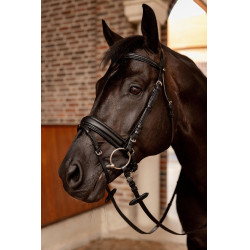 Bridon de dressage Horze Eternal Gaze Noir