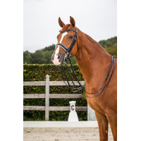 Dy'on collectie hoofdstel dressuur plat leer Lakneusriem Breed Wit Voering Zwart