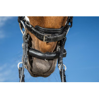Dy'on collectie hoofdstel dressuur plat leer Lakneusriem Breed Wit Voering Zwart