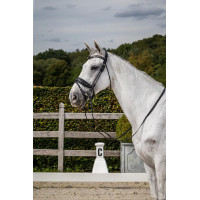 Bridon Dy'on collectie dressuur rond leder Combiné Neusriem Breed Zwart