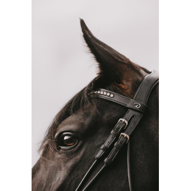 Bridon Dy'on collection dressage cuir rond Muserolle Combinée Large Vernie Bridon Dy'on collection dressage cuir rond Muserolle Combinée Large Vernie
