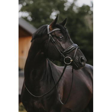 Bridon Dy'on collection dressage cuir rond Muserolle Combinée Large Vernie Bridon Dy'on collection dressage cuir rond Muserolle Combinée Large Vernie