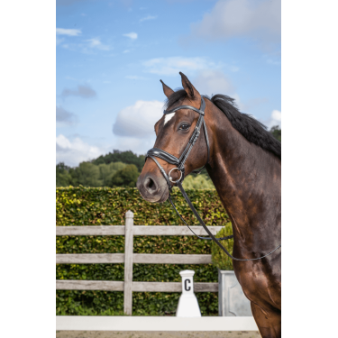 Bridon Dy'on collection dressage cuir plat Muserolle Combinée Moyenne avec Pull-Back Bridon Dy'on collection dressage cuir plat Muserolle Combinée Moyenne avec Pull-Back