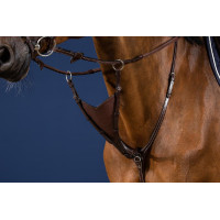 Volledige Soepele Martingaalvork Dy'on US Jumping Bruin Volledige Soepele Martingaalvork Dy'on US Jumping Bruin