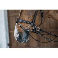 Bridon Working van Dy'on met bewegingsvrijheid Bruin Bridon Working van Dy'on met bewegingsvrijheid Bruin