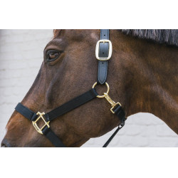 Licol en Nylon Breakaway Kentucky Noir Licol en Nylon Breakaway Kentucky Noir