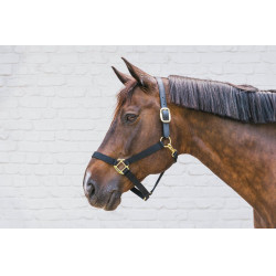 Licol en Nylon Breakaway Kentucky Noir Licol en Nylon Breakaway Kentucky Noir