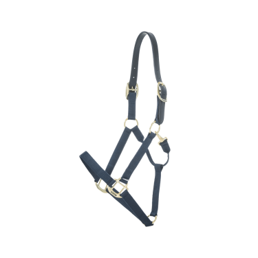 Licol en Nylon Breakaway Kentucky Licol en Nylon Breakaway Kentucky