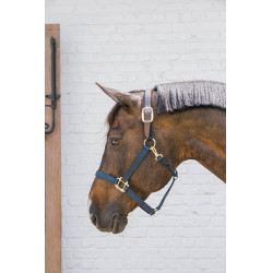 Licol en Nylon Breakaway Kentucky Marine Bleu marine Licol en Nylon Breakaway Kentucky Marine Bleu marine