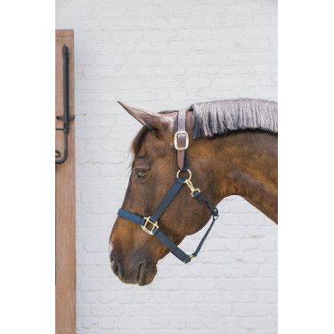 Licol en Nylon Breakaway Kentucky Licol en Nylon Breakaway Kentucky