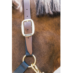 Licol en Nylon Breakaway Kentucky Marine Bleu marine Licol en Nylon Breakaway Kentucky Marine Bleu marine