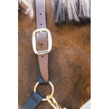 Licol en Nylon Breakaway Kentucky Licol en Nylon Breakaway Kentucky