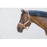 Licol en Nylon Breakaway Kentucky Vieux rose