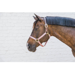 Licol en Nylon Breakaway Kentucky