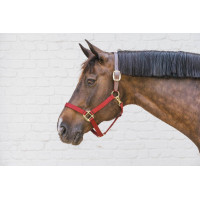 Licol en Nylon Breakaway Kentucky Bordeaux Licol en Nylon Breakaway Kentucky Bordeaux