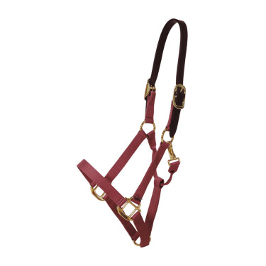 Licol en Nylon Breakaway Kentucky Bordeaux