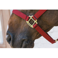 Licol en Nylon Breakaway Kentucky Bordeaux Licol en Nylon Breakaway Kentucky Bordeaux