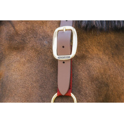 Licol en Nylon Breakaway Kentucky Bordeaux