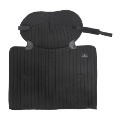 Sotto Fascia da Scuderia e da Trasporto con Protezione del Garretto Kentucky Noir